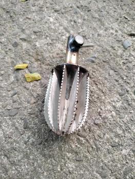 Product Review of 12mm Mini Coconut Grater Blade Stainless Steel Small  Kitchen Utensils from u**6 1