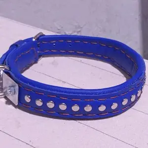 kalung anak anjing dari kulit