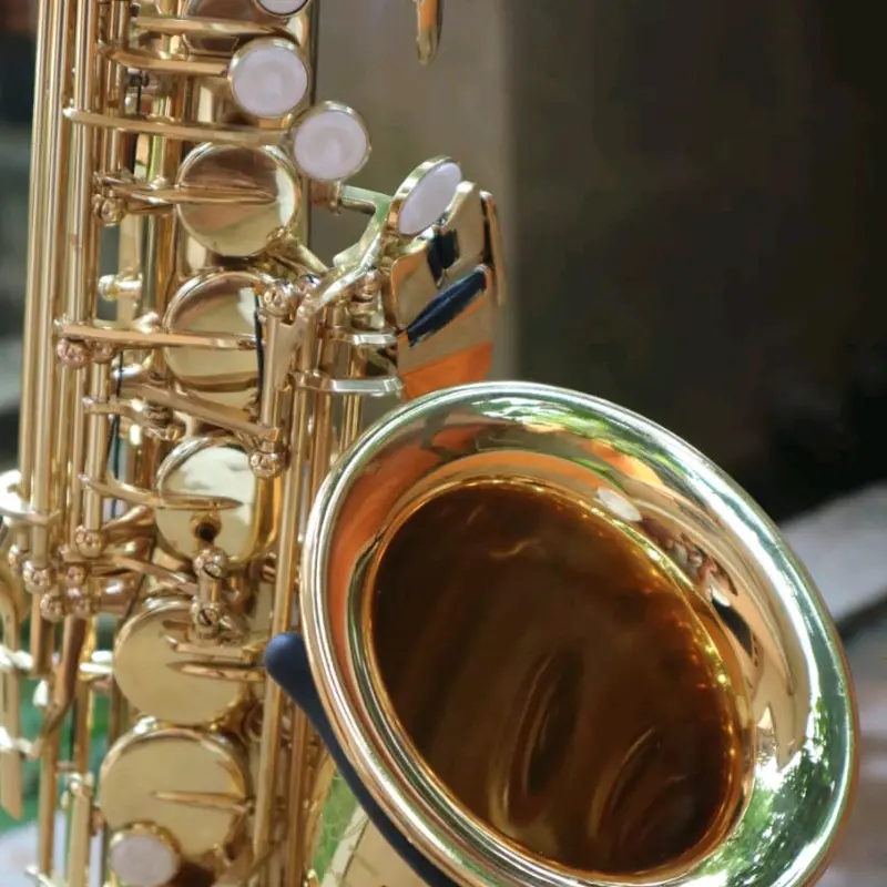 Zeff france alto saxophone Zas-600 new garansi 1thn free maintenance 3