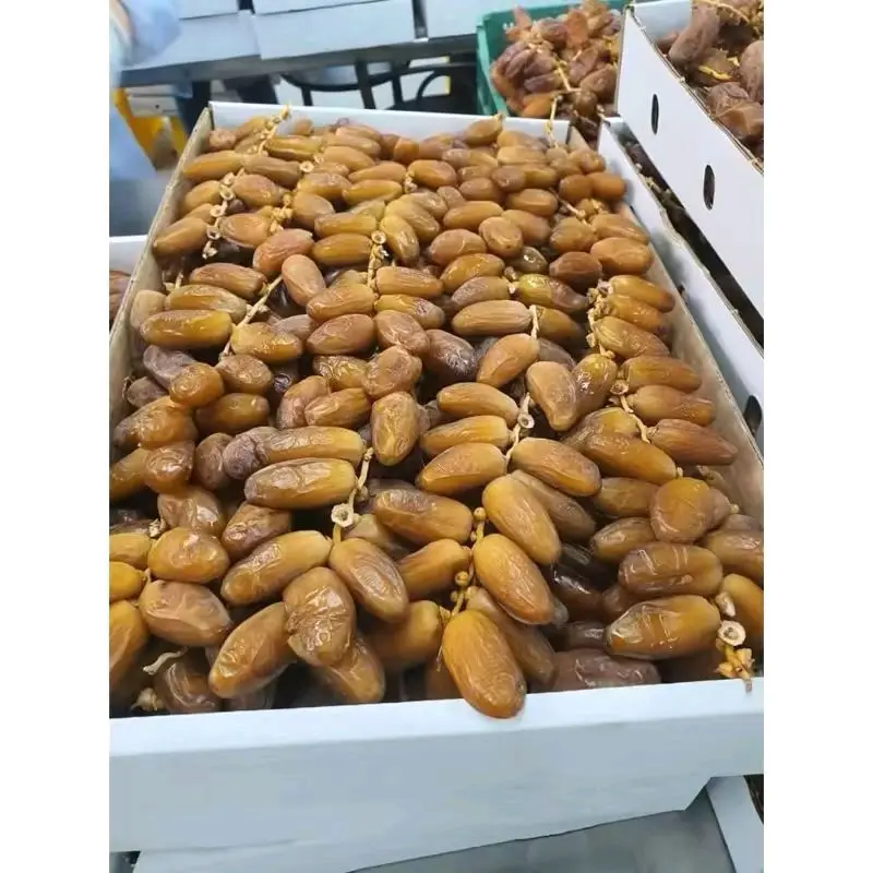 Kurma Tunisia Tangkai 1Kg//Kurma Premium, baru dan fresh 0