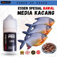Gambar Essen Ikan Bawal Galatama Lomba & Harian Media Kacang Essen Boostrike Spesial Bawal 30ml - 15 ML dari ESSEN BOOSTRIKE_NEW Kota Tasikmalaya 1 Tokopedia