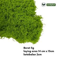 Gambar Workplant - Moss Artificial Lumut Imitasi Dried Moss untuk Paludarium Aquascape DIY Dekorasi - Hijau Tua dari workplant official Kota Surabaya 3 Tokopedia