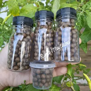 Bundling 3 botol Pinang Anum plus bonus 1 cup kecil