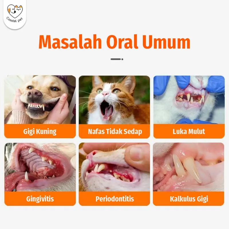 Cassiel Pet Penghilang Bau Mulut Air Liur Radang Tenggorokan Sakit Gigi Pembersih Kerak KucingAnjing 1