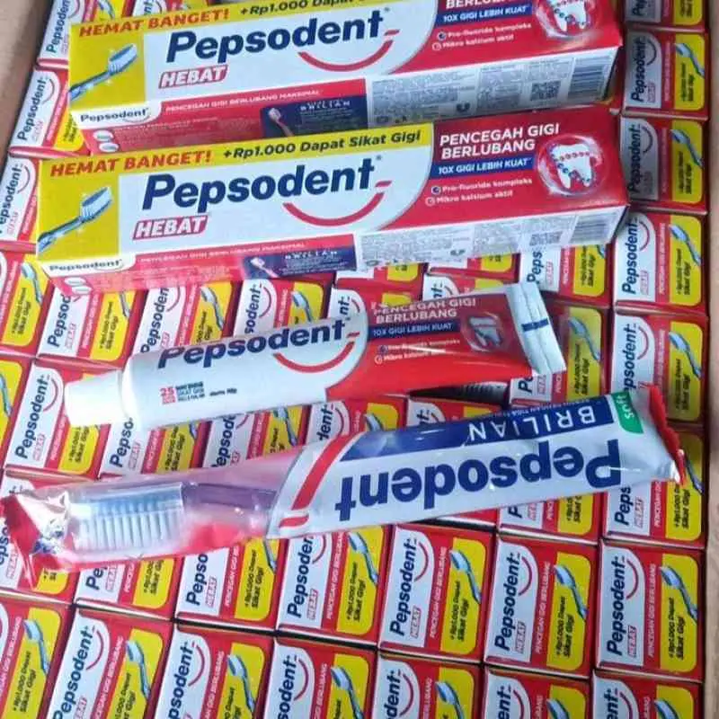6 PCS PASTA GIGI 75 GRAM + 6 PCS SIKAT GIGI DALAM KEMASAN