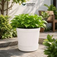 Gambar Workplant - Pot Krisan 16 (Isi 6pcs) Pot Tanaman Minimalis Estetik Bahan Awet Satu Set Tatakan Minim Kotor Untuk Semua Jenis Tanaman Tanaman Indoor Outdoor dari workplant official Kota Surabaya 5 Tokopedia