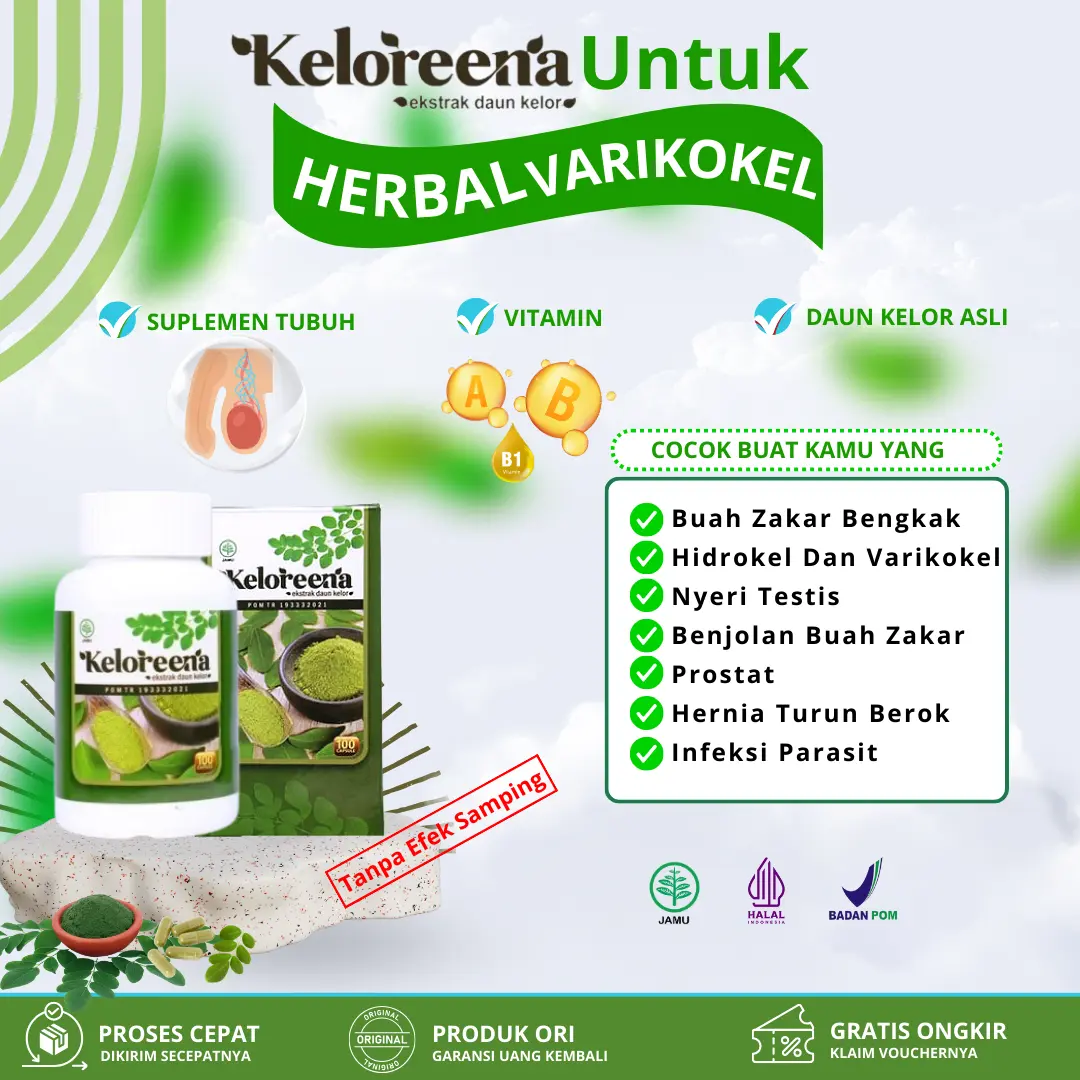 Keloreena Kapsul Asli Daun Kelor Herbal Varikokel Sakit Buah Zakar Testis Pembengkakan Buah Zakar Hidrokel Anak Dewasa BPOM Halal