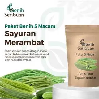 Bibit Sayuran Paket 5 Macam Benih Sayur Rambat Merambat Buncis Kacang Pare Oyong Timun Panjang Lalap terong tanaman