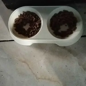 Tempat Makan Double Bowl Kucing Anjing Anti Semut Mangkok Perlengkapan Hewan Peliharaan Ukuran