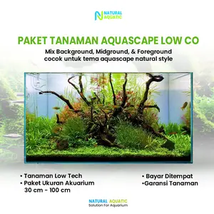 Paket Tanaman Aquascape Low CO2 Lengkap Ukuran 50–60 cm | Tanaman Mudah Dirawat