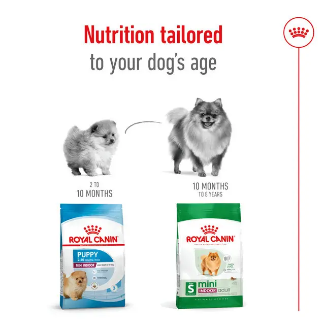 Royal Canin Mini Indoor Adult (1.5kg) Dry Makanan Anjing Dewasa - Size Health Nutrition 5