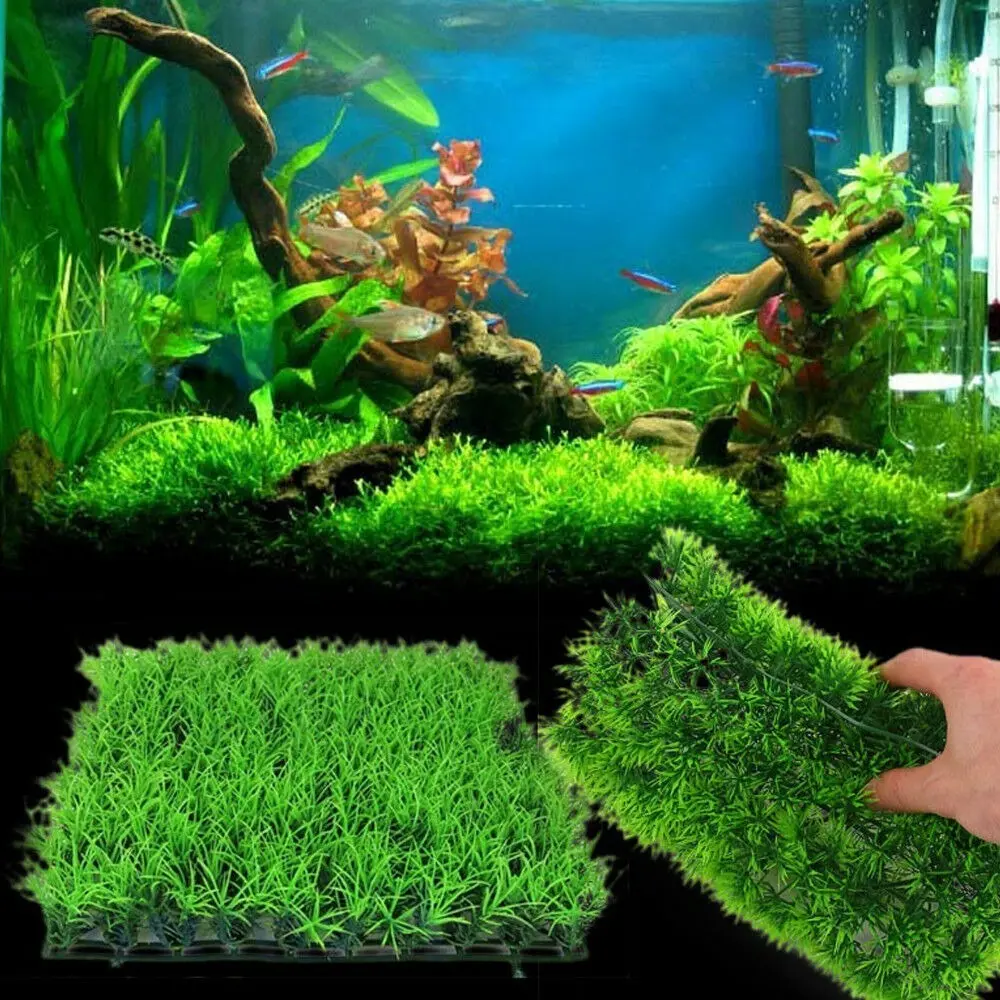 Đồ trang trí bể cá bằng nhựa để trang trí bể cá Mô phỏng cây thủy sinh kim thông mịn giả Cây cỏ nước nhân tạo Cỏ