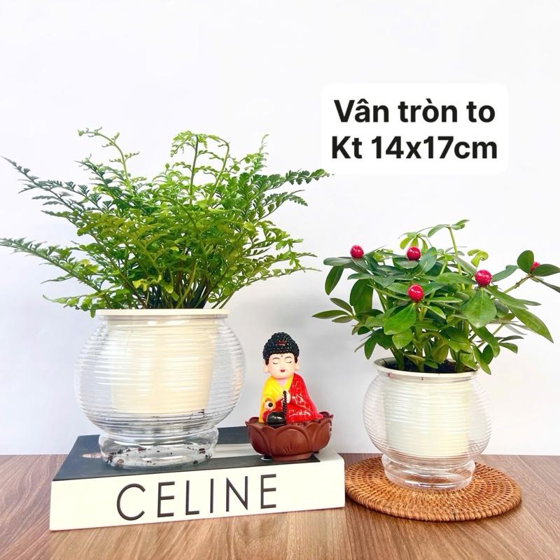 CHẬU THỦY SINH ĐA NĂNG TRỒNG GỪNG HÀNH CÂY THUỶ SINH NUÔI CÁ CÁC LOẠI