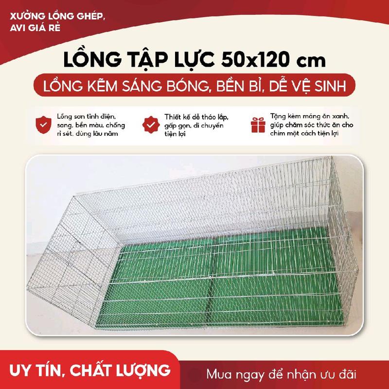 Lồng Tập Lực 50x120cm  Hai Cửa Hai Đầu Có Khay phân Tặng máng ăn xanh Cho Chào Mào Yến Phụng Chim Sâu Khuyên 