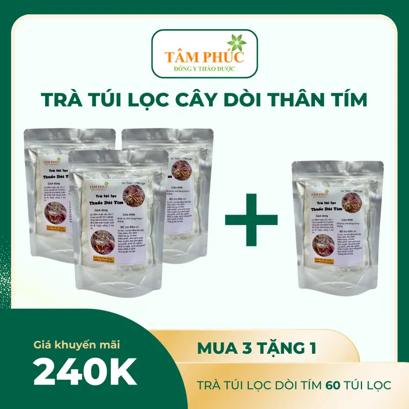 [60 túi lọc] - Túi lọc cây dòi thân tím hỗ trợ các vấn đề về Phổi và Hô Hấp( Cây bọ mắm)  + Tặng Hạt Giống 5