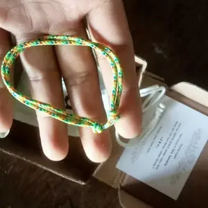 Kura-Kura Emas Rejeki Fengshui Penarik Uang (Golden Turtle)