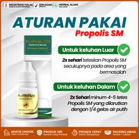 Gambar Propolis sm Asli Original - Oles Cair Kalazion Perawatan Mata Bintitan Mata Kalazion Mata Hordeolum Pengempis Bengkak Di Kelopak Mata Anak dan Dewasa - PAKET - 1 Botol dari MusaHerbal Kota Administrasi Jakarta Barat 4 Tokopedia