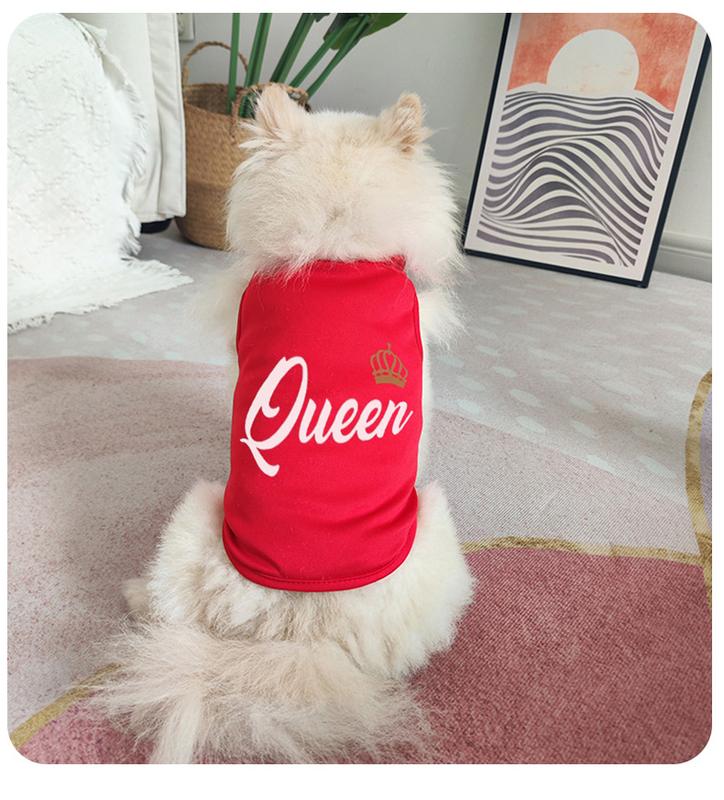 Product Introduction of Cat and dog fashion design, printed clothing, trendy brand pet small and medium-sized dog sleeveless vest 7