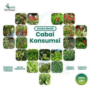 Aneka Benih Cabe Rawit & Cabe Besar