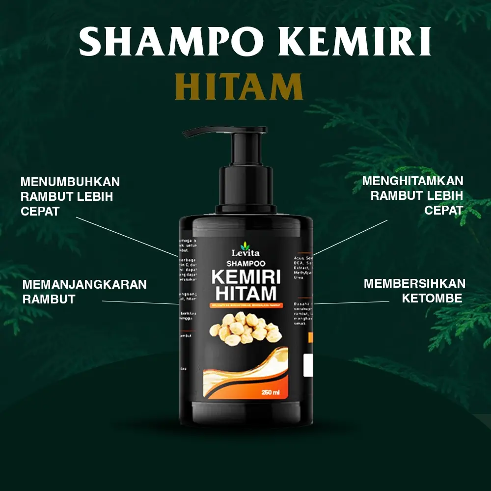 Shampoo Kemiri Hitam Levita - Shampoo Penumbuh Rambut Pemanjang rambut Anti Ketombe dan Uban