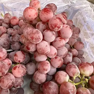 Anggur Redglobe 1 Kg, Antioksidan Tinggi, Resveratrol, Kesehatan Jantung - Frozen, Gula, Makanan, Zuriat