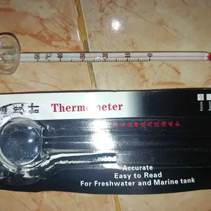 Thermometer Aquascape Aquarium Thermo Meter Termometer Grosir