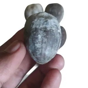 Muncang Adu Jenis Pedang tower Original produk Jogjakarta