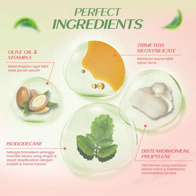 Product Introduction of Hanasui Mattedorable Lip Cream Matcha Latte Edition - Lip Cream Double Mouisturizing With Vitamin E Pigmented Velvet Finish & Non - Transferable 1