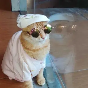 Kacamata Kucing/Kacamata Pelindung Sinar UV untuk Anjing / Kucing