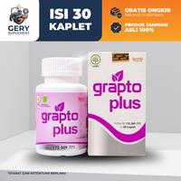 Gambar GRAPTO Plus Obat Wasir Luka Bengkak Nyeri Tanpa Operasi Original Asli - 1 Botol dari Gery Suplement Kota Depok 1 Tokopedia