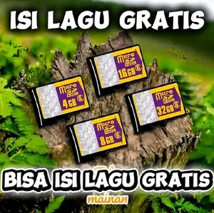 Micro SD 2GB - Bisa Isi Lagu Gratis - Mainan - Kapasitas 2GB - Ideal untuk Menyimpan Lagu
