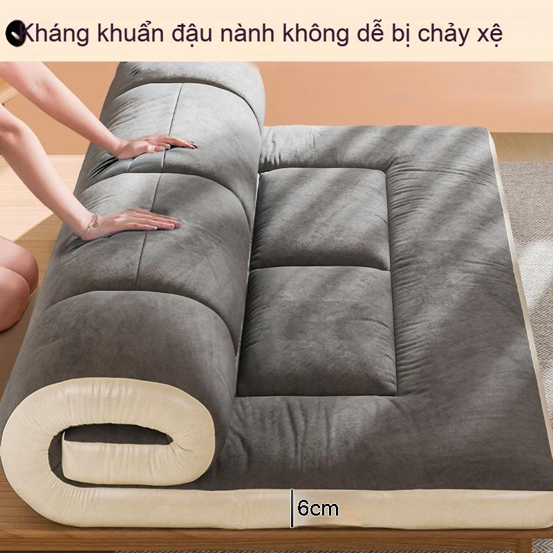Chất xơ đậu nành nệm hấp dẫn da chống muỗi chống vi khuẩn dày thoải mái nệm ký túc xá dành cho sinh viên phòng ngủ nệm nhiều thông số kỹ thuật