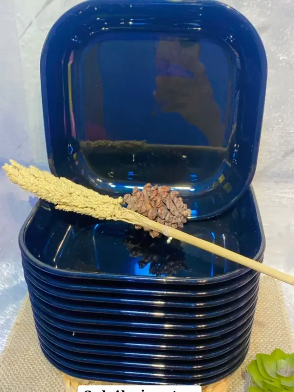 MANGKOK MIE GACOAN / MANGKOK PIKOK CEPER TERBARU LEBAR 20cm , tinggi 4cm 2