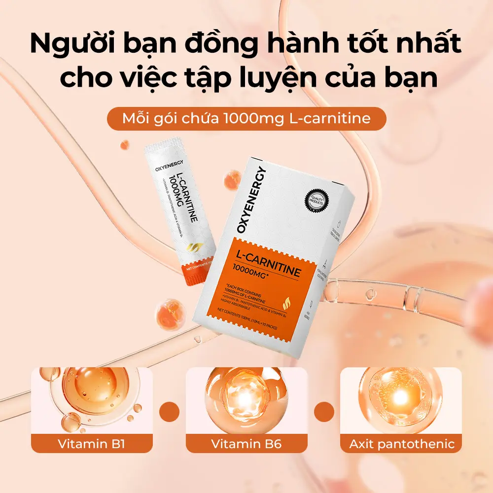 [For Creator] Oxyenergy Thức uống L-Carnitine, 10000mg/hộp, Hỗ trợ phục hồi năng lượng | Tập luyện hiệu quả | Duy trì sức sống cơ thể, Vị cam, 10ml/ống