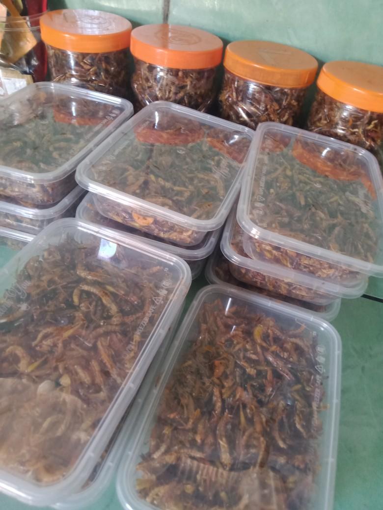 Product Introduction of belalang utis/belang kecil dpet 1box 1