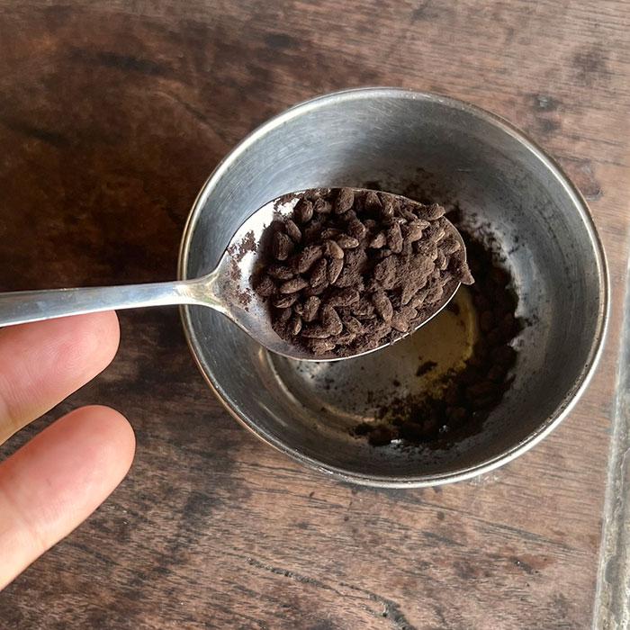 Black Koji Starter Japan 10g | Tane Koji (Aspergillus luchuensis) untuk Miso, Shiokoji, Amazake – Ikushima Store 3