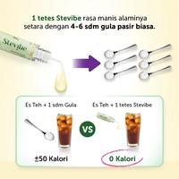 Gambar Stevibe by Flimty - Pemanis Alami Stevia - 15 ml - 15 ML dari Gorilla Supplement Kab. Bandung 5 Tokopedia