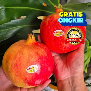 PAKET 2 BUAH DELIMA IMPORT | DELIMA MERAH | MAWMAW.FRUIT