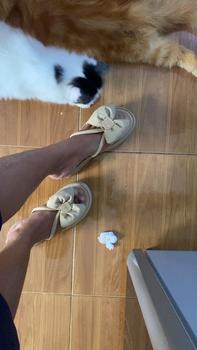 Product Review of 9091-20 sandal wedges import wanita sofiya original kekinian Sendal Jepit Flat Cewek from P**a 1