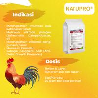 Gambar KALBE Natupro Probiotik Pakan Adiktif Powder Hewan - 1 Kilogram dari Kalbe Animal Health Kab. Tangerang 4 Tokopedia