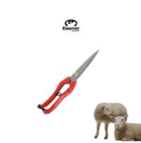 Gambar Eleanor Farm Gunting Bulu Domba Kambing Kuda Grooming Ternak dari ELEANOR FARM INDONESIA Kab. Madiun 1 Tokopedia