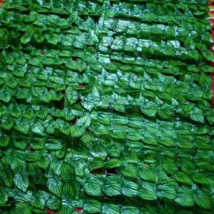 Dekorasi Rumah Rumput Dinding Sintetis 3x1 Meter Daun Sintetis Dinding Pagar