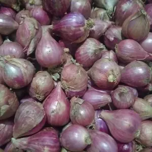 Bawang merah brebes 500 gram kering merah merona