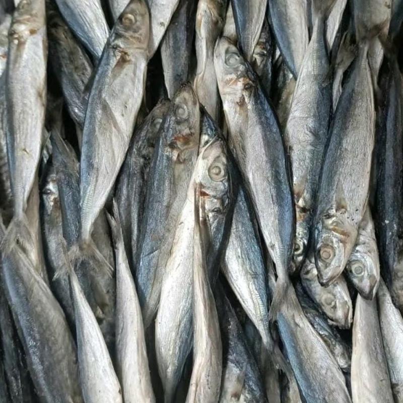 Ikan asin , japuh layang sedang Frozen - Shop | Tokopedia