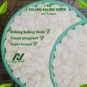 Kolang Kaling Muda 1Kg Kenyal Gemoy Buah Aren Segar Food