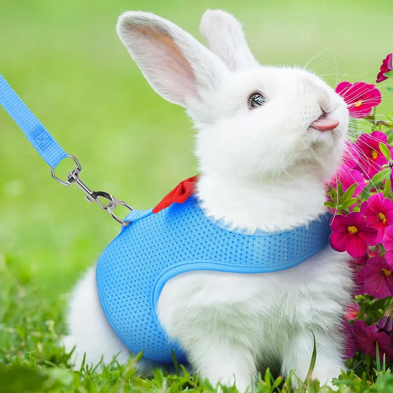Bow Design Rabbit Harness With Leash, Adjustable Breathable Rabbit Harness, Pet Supplies For Indoor and Outdoor Walking, Small Animal Supplies 5