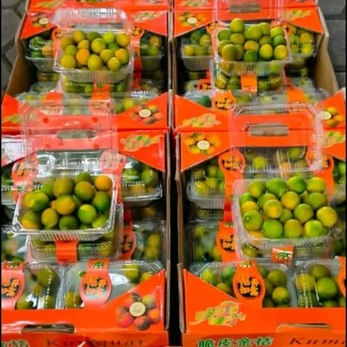 Jeruk Kimkit 500gr/Pack Segar dengan Kulit untuk Konsumsi - Buah, Zuriat, Frozen 2