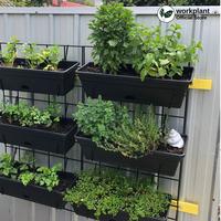 Gambar Workplant - (12pcs) Pot Argo 2 Pot Dinding Gantung Vertical Garden Pot Tempel Dinding Cocok Untuk Tanaman Hias dari workplant official Kota Surabaya 4 Tokopedia