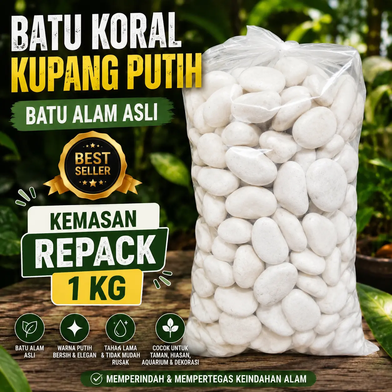 BATU HIAS KORAL PUTIH KUPANG kemasan repack 1 kg untuk Dekorasi Taman Kafe Pot Bunga Kolam Ikan Aquarium Lantai Dinding Carport Garasi Kuburan