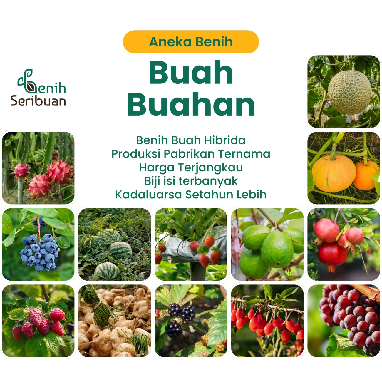 Benih Seribuan Benih Buah Buahan Hibrida Anggur, Strawberry DLL Tanaman Paket Lengkap Unggul